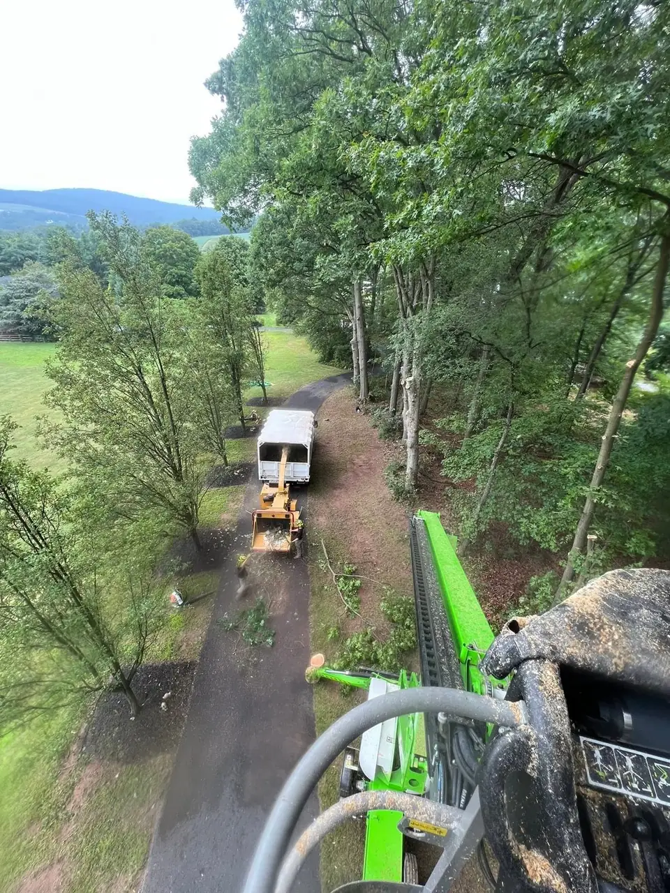 Municipal and Government Tree Services