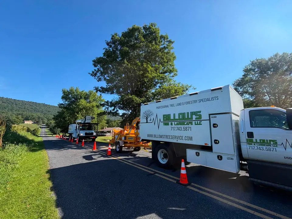 Billow's chip truck, chipper and bucket truck set up with cones on a rural road